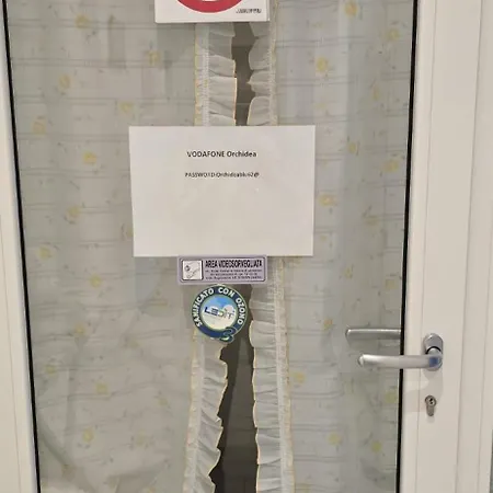 Orchidea Di Tatiana * Bologna