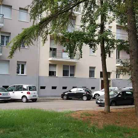 Orchidea Di Tatiana *