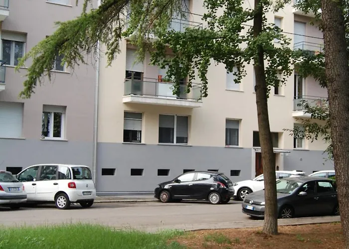 Orchidea Di Tatiana *