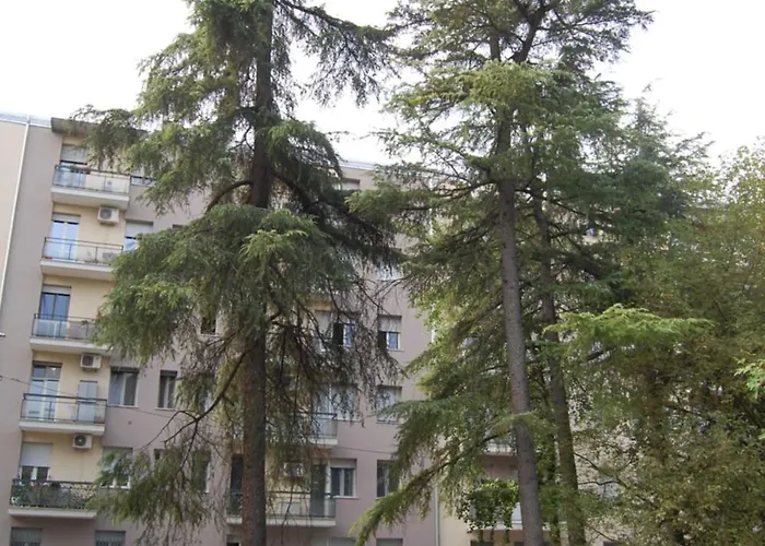 Orchidea Di Tatiana *