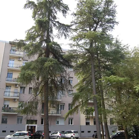 Orchidea Di Tatiana *